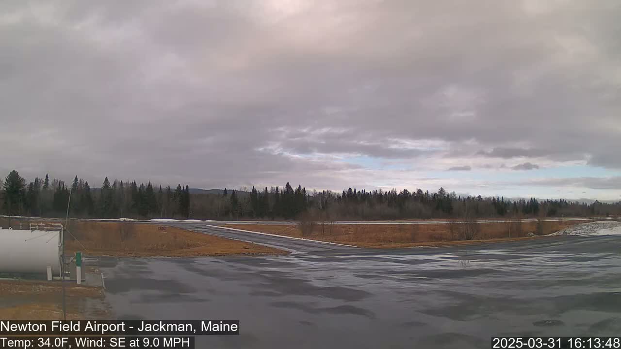 A wet airfield is visible, bordered by a line of trees under an overcast sky.