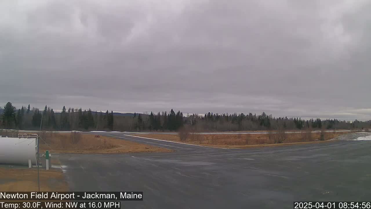 A mostly overcast sky hangs over a flat, paved airfield bordered by a line of dark evergreens under a gray sky.