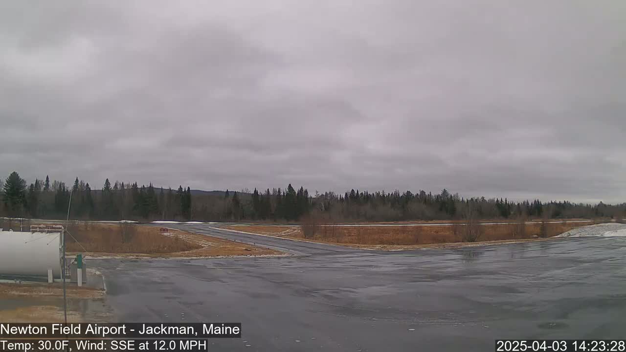 A mostly overcast sky hangs over a flat, wet airfield bordered by a line of dark evergreens.