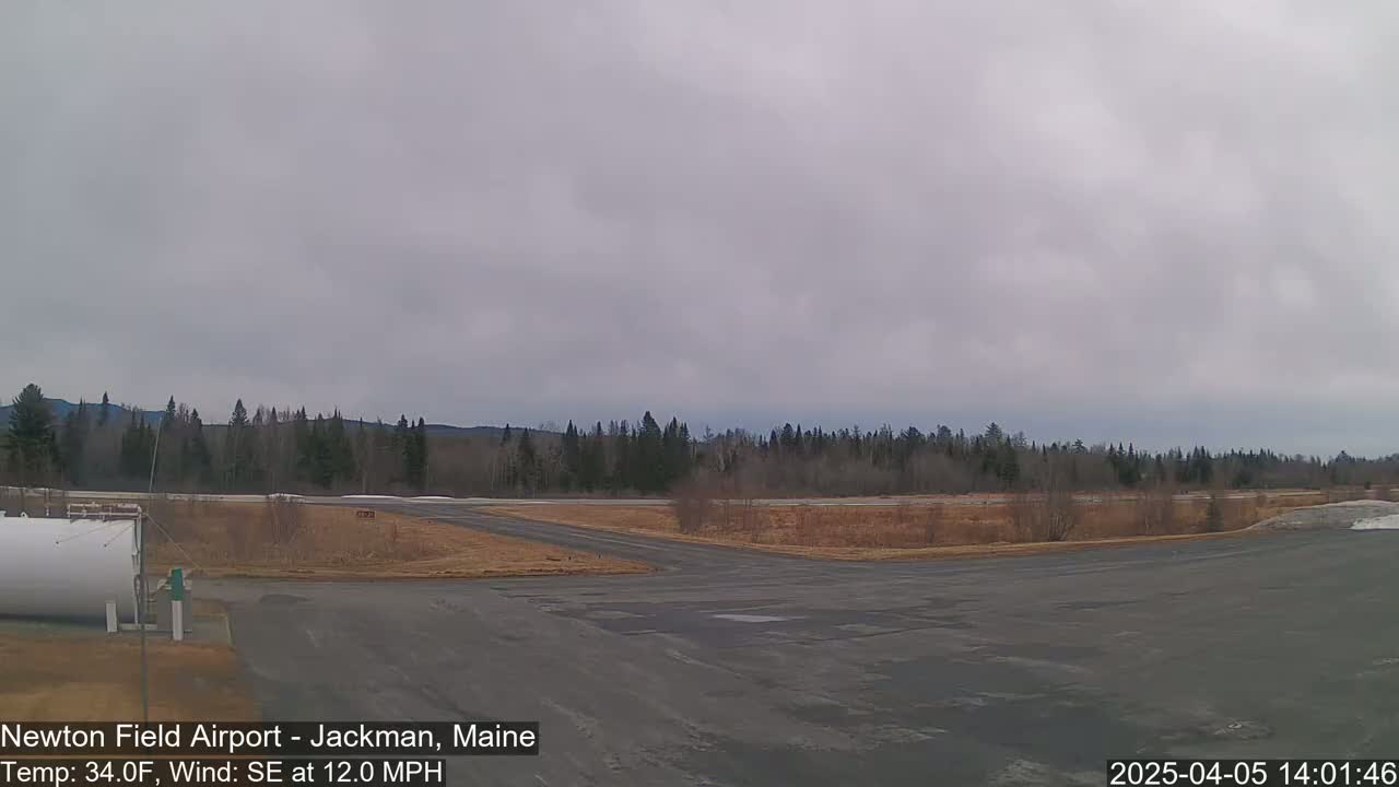 A mostly overcast sky hangs over a small airport with a tarmac, grassy areas, and a line of trees in the background.