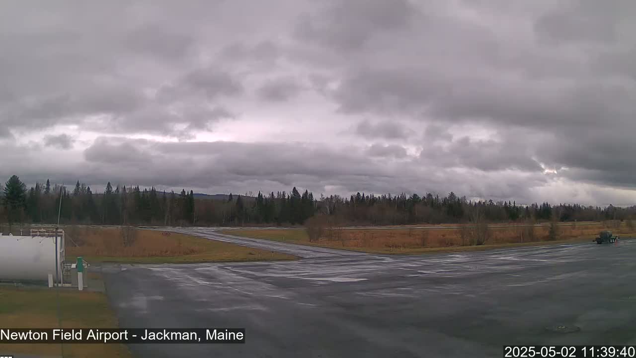 A wet airfield is surrounded by a line of trees under an overcast sky.