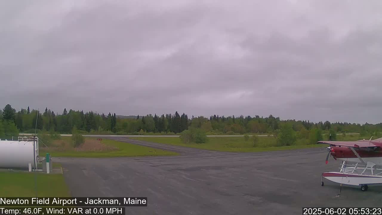 A small seaplane is parked on an airport tarmac under an overcast sky, with a line of trees in the background.