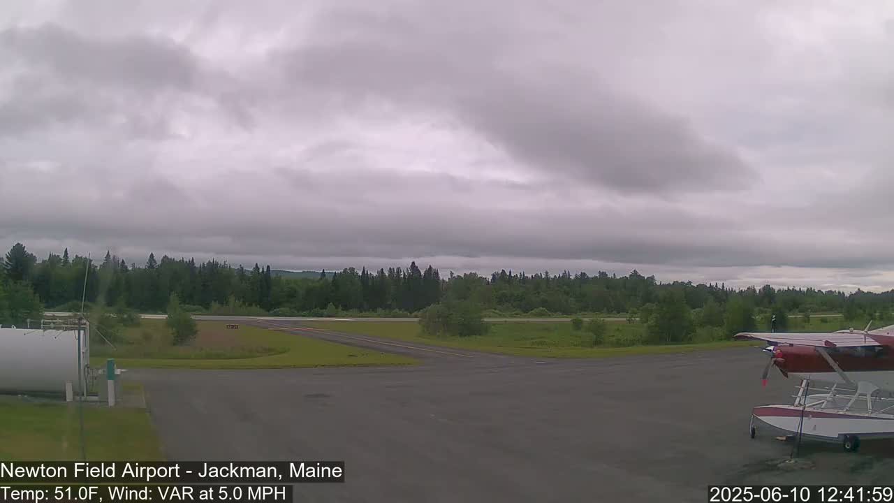 A small airplane sits on an airport tarmac under an overcast sky, with a line of trees in the background.
