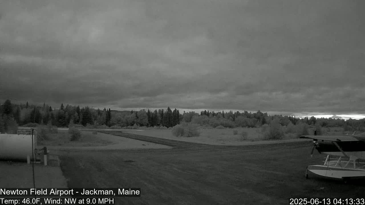 A small seaplane sits on a grass airfield next to a line of trees under an overcast sky.