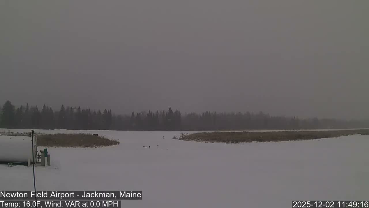 A vast, snow-covered expanse, possibly a frozen lake or field, is bordered by distant dark evergreen trees under a uniformly grey, overcast, and hazy winter sky.