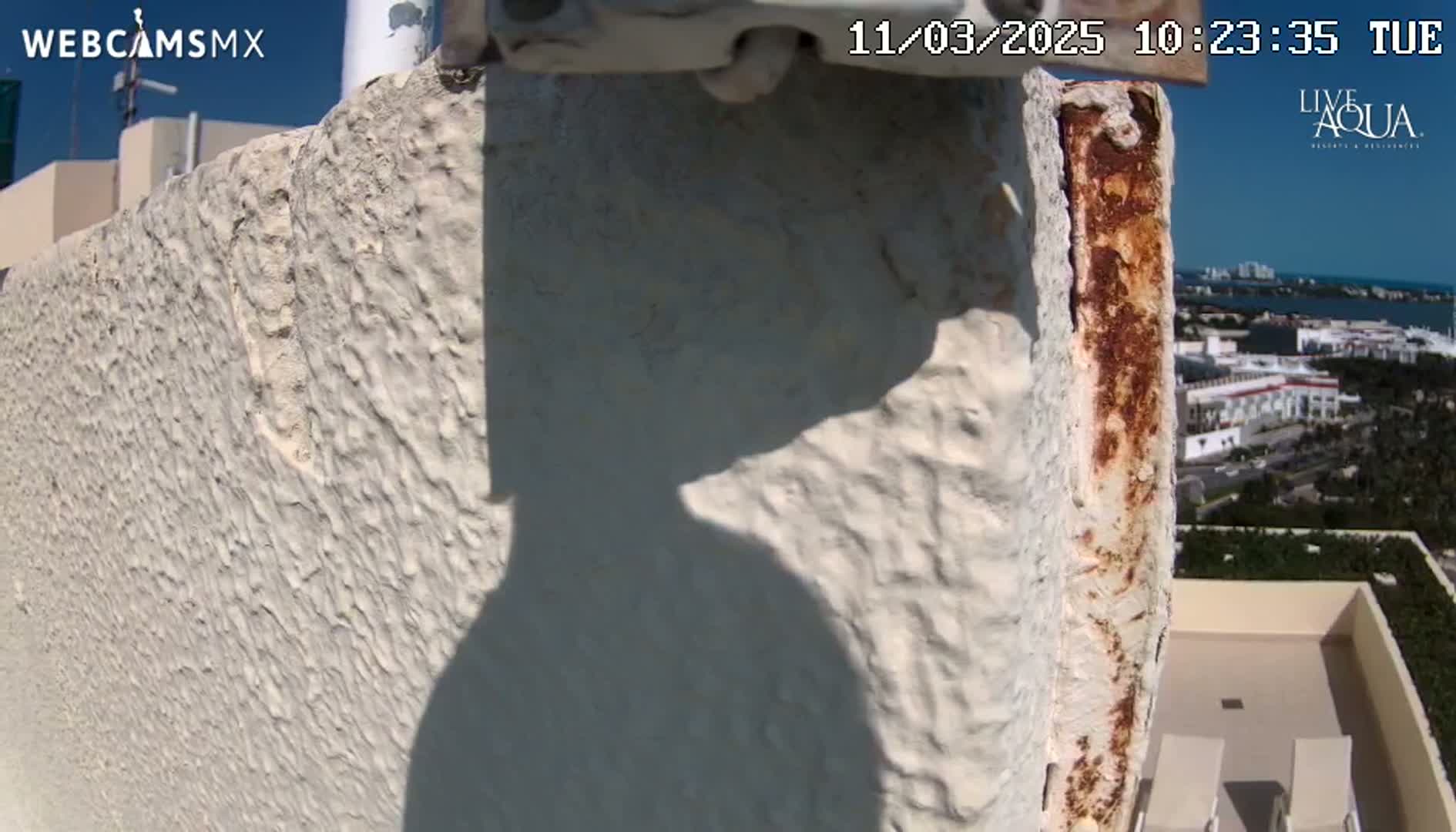 A close-up view shows a rusty metal section attached to a textured, off-white wall on a sunny day, with a distant view of a city and ocean in the background.