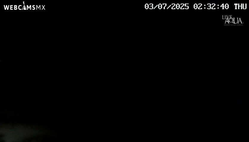 The image shows a completely dark scene at night.