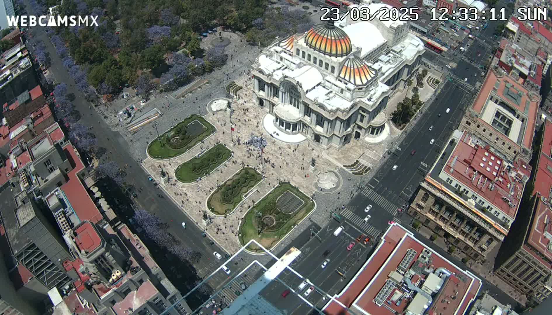 An aerial view shows a large, ornate building in a city square on a sunny day, surrounded by streets with cars and jacaranda trees in bloom.
