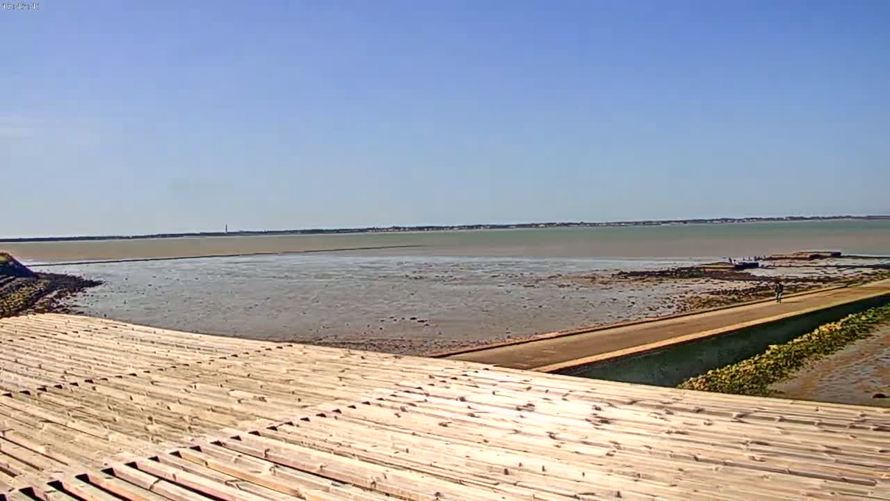 A long, flat expanse of muddy tidal flats meets a calm, light-green sea under a clear blue sky.