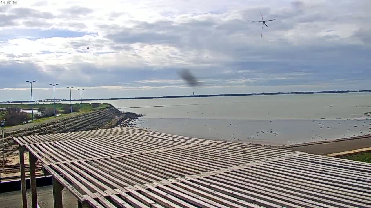 A long, slatted wooden structure overlooks a calm body of water under a partly cloudy sky, with a distant bridge visible on the horizon.