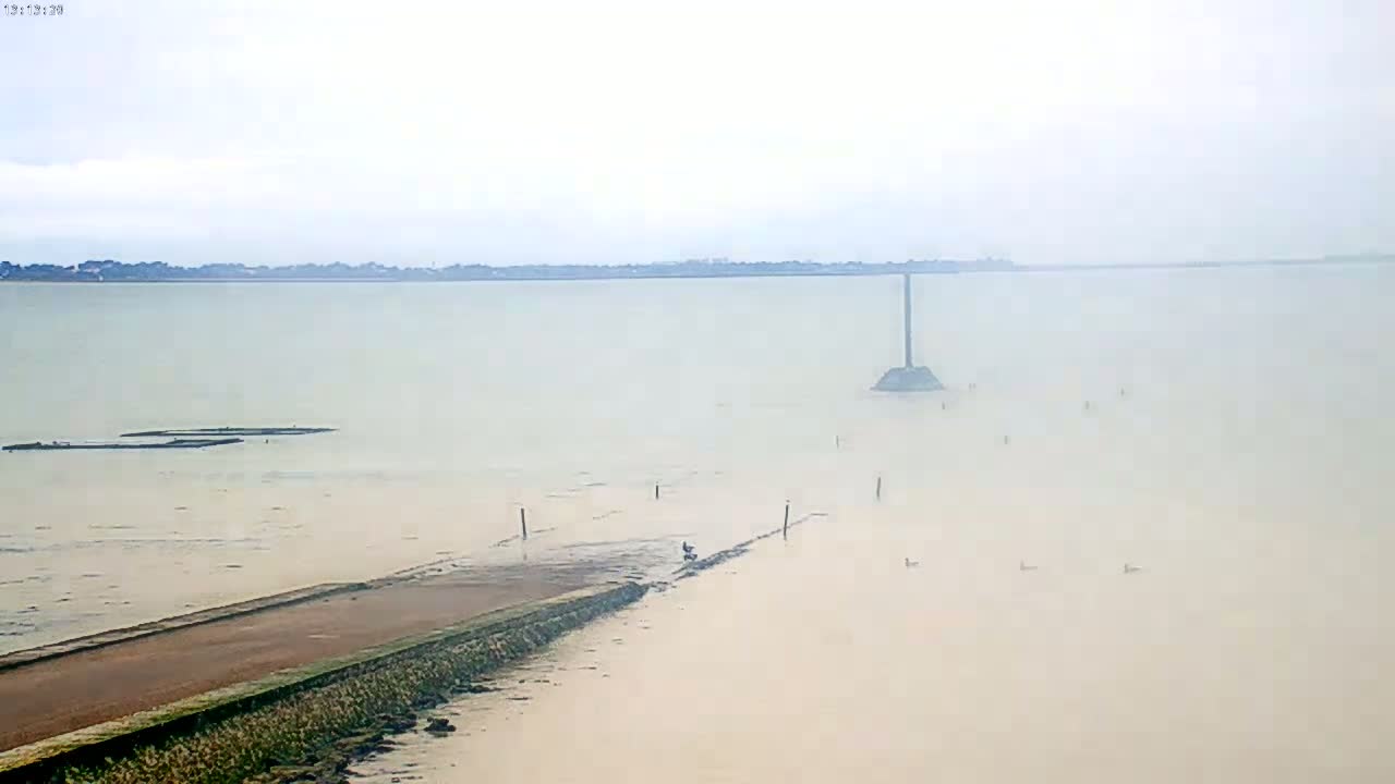 A hazy, overcast day reveals a calm body of water with a low-lying landmass extending into it, featuring a few posts and a bird near a small jetty.