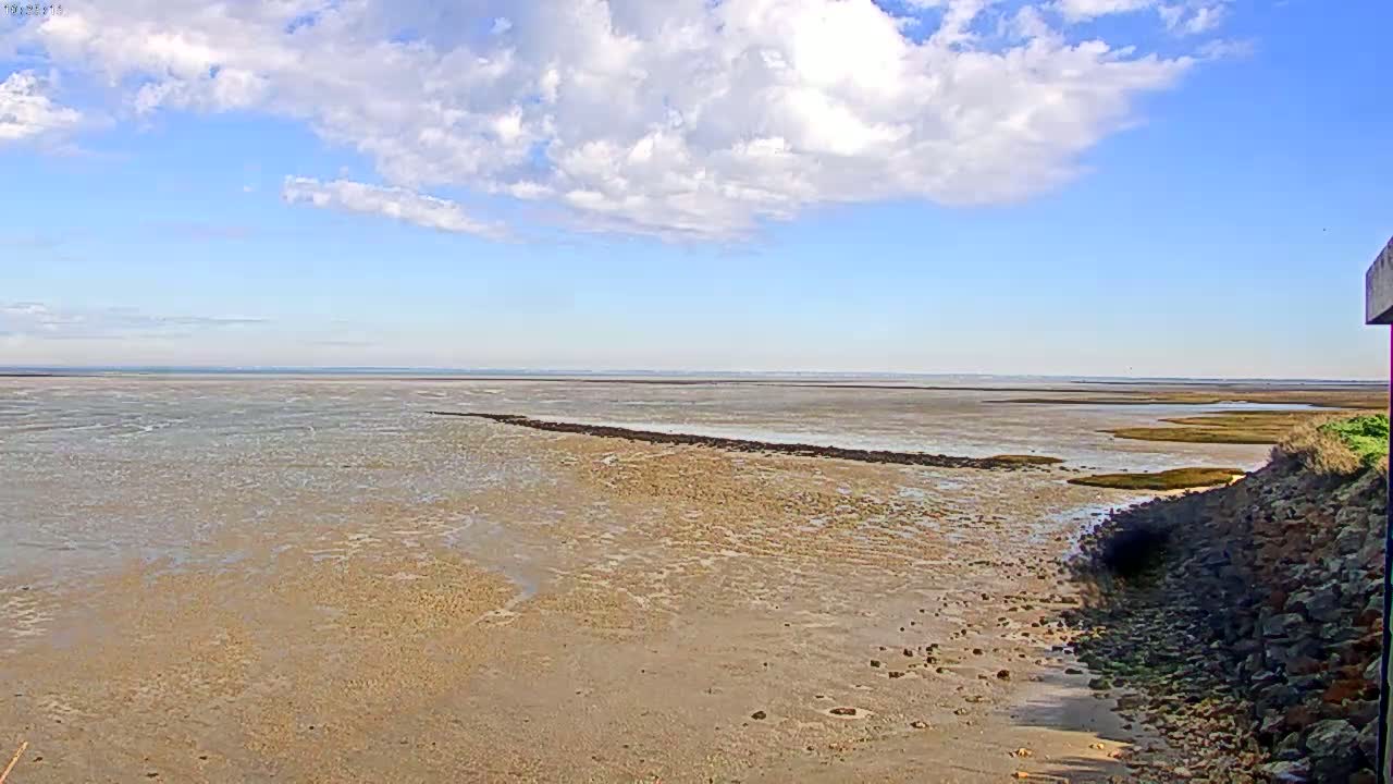 A wide expanse of tidal flats stretches to a calm ocean under a partly cloudy blue sky.