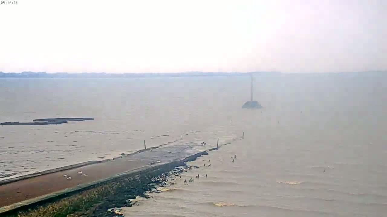 A hazy, overcast day reveals a long, low-lying structure extending into a calm body of water where several birds are visible near the shore.