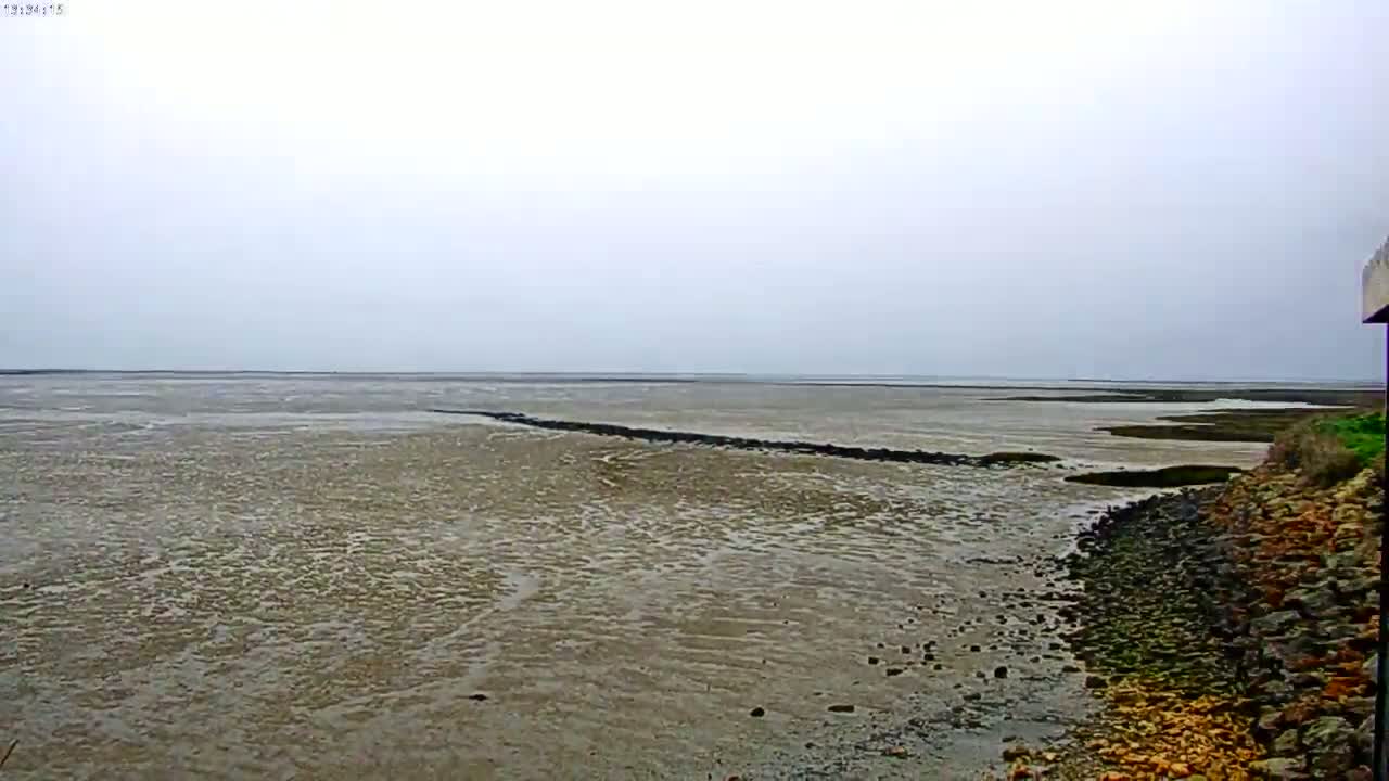 A wide expanse of muddy, shallow water stretches to a pale horizon under an overcast sky.