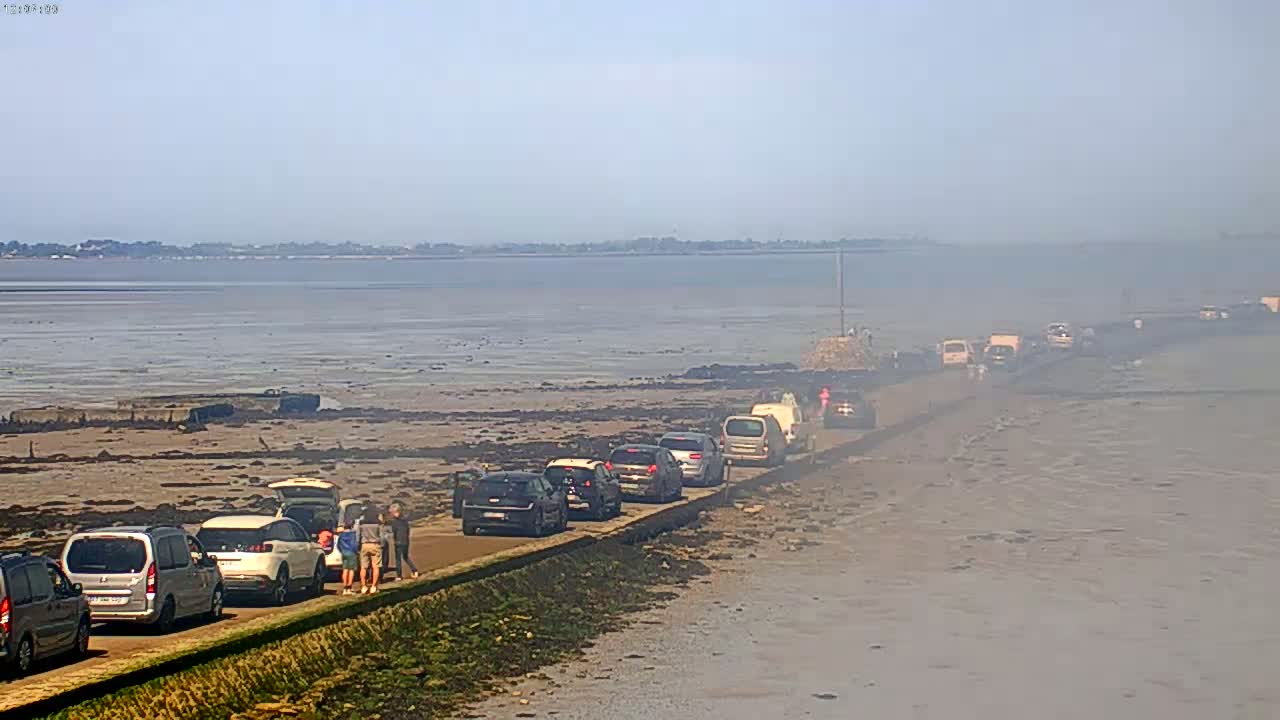A line of cars is parked along a seaside road on a hazy day, with a wide expanse of mudflats and water visible in the background.
