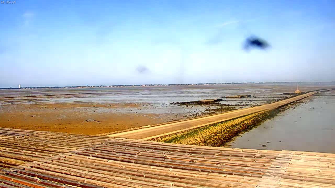 A long, flat road extends across a wide expanse of shallow, muddy water under a clear, bright sky.