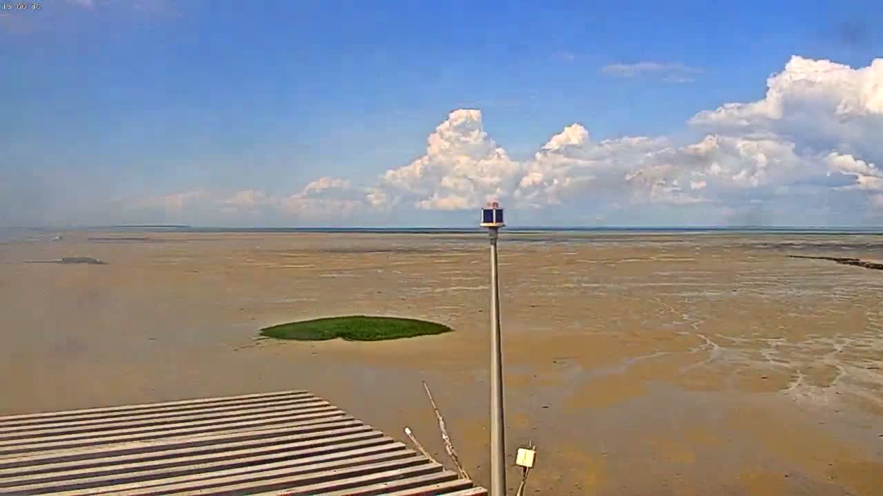 A mostly sunny day shows a wide expanse of tan mudflats at low tide, a small patch of green vegetation, and a tall pole with a light on top, with a wooden platform in the foreground.