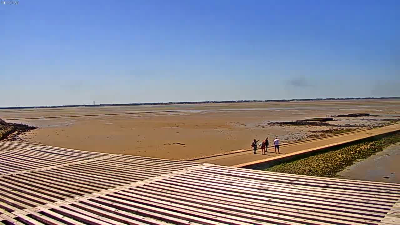 Under a clear blue sky, three people walk along a path leading to a wide expanse of mudflats extending to a distant shoreline.