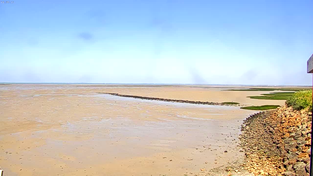 A wide expanse of light brown mudflats stretches to a calm, blue ocean under a clear sky.