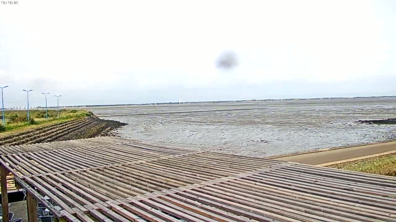 A wooden slatted structure overlooks a wide expanse of exposed mudflats under a mostly cloudy sky.