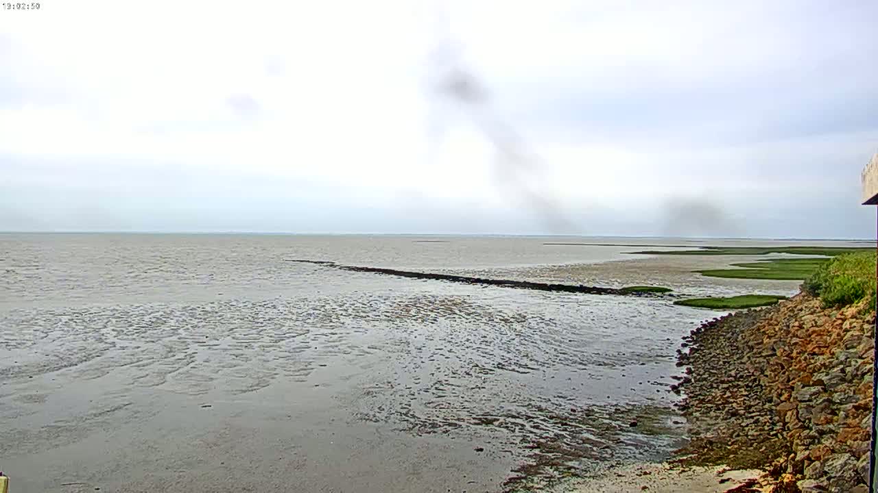 A calm, overcast day reveals a wide expanse of shallow, gray-brown water meeting a rocky shoreline with patches of green marsh.
