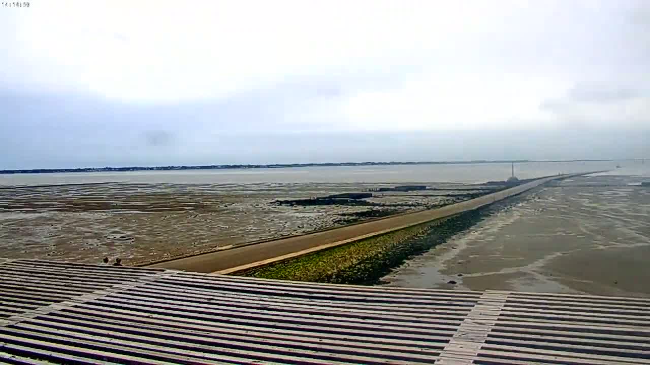 A long, paved causeway stretches across a wide expanse of exposed, muddy tidal flats under an overcast sky.