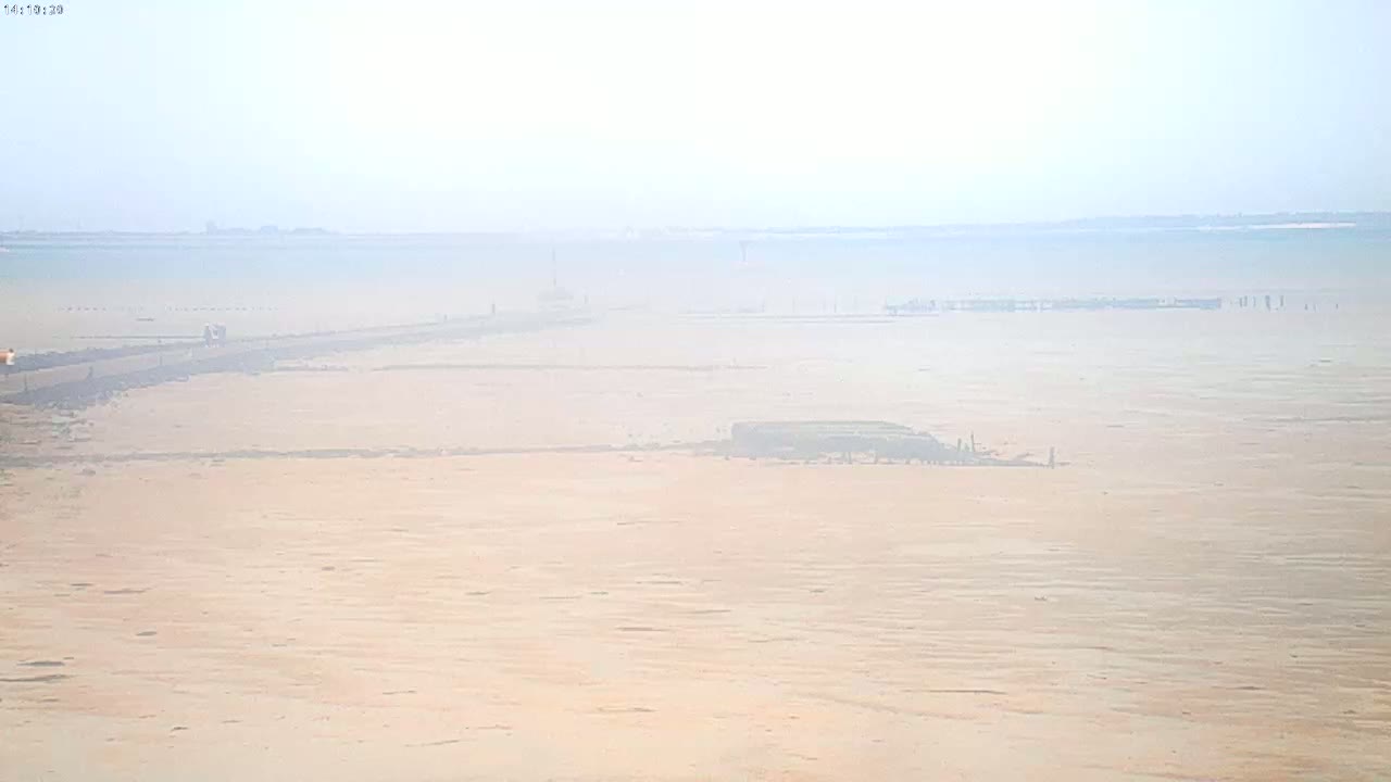 A hazy, expansive, light-brown tidal flat stretches to a distant shoreline under a foggy sky.