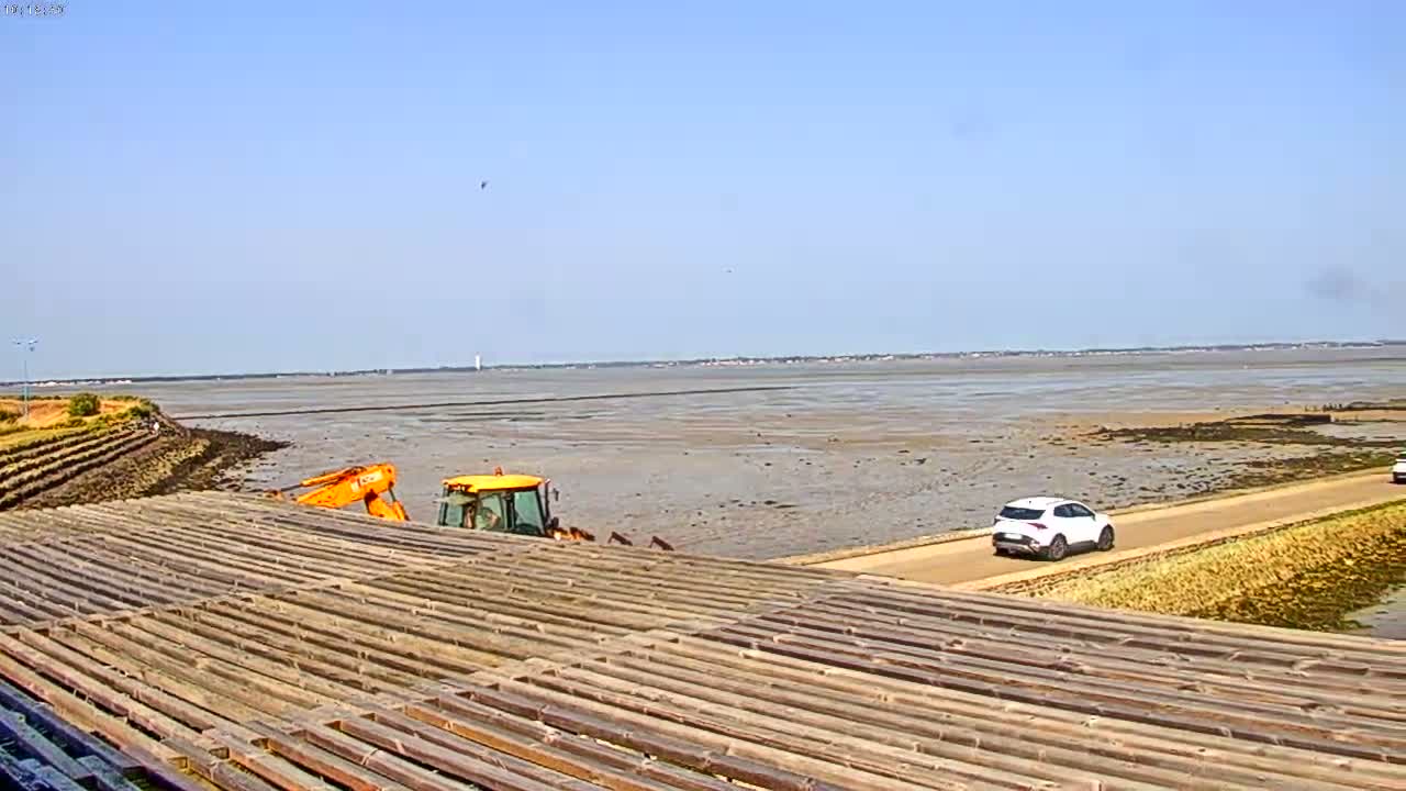 A yellow tractor is parked near a large expanse of exposed mudflats under a clear blue sky, with two white cars driving on a road nearby and a wooden structure in the foreground.