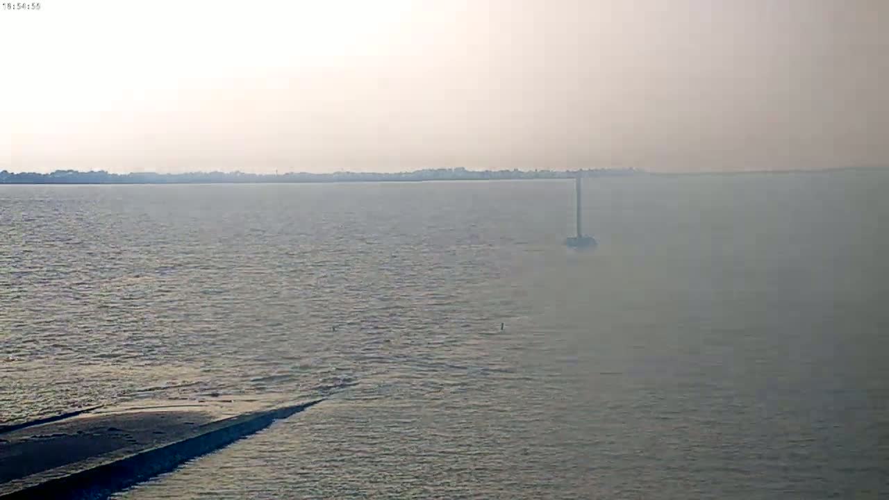 A hazy, calm body of water shows a distant shoreline and a tall, thin structure in the middle distance.