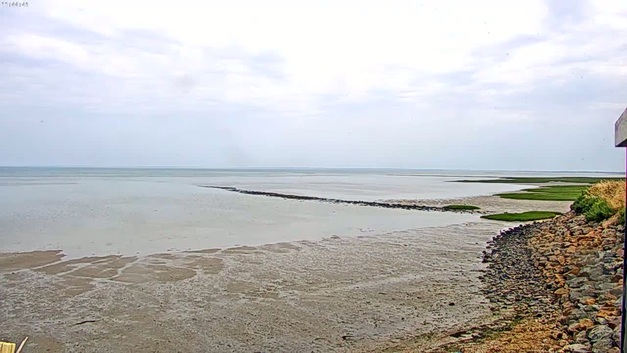 A wide expanse of mudflats and shallow water stretches toward a calm, overcast sky, with a rocky shoreline in the foreground and patches of green marsh visible in the distance.