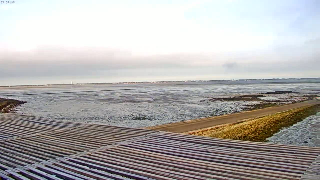 Noirmoutier - Passage du Gois Live Cam - Les Sables-d'Olonne , Vendée, Pays de la Loire, France