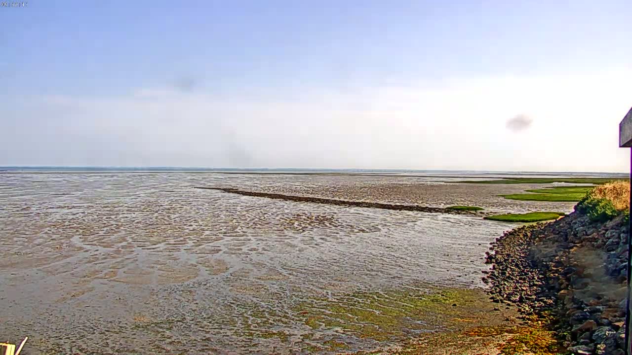 A mostly clear, bright day reveals a wide expanse of shallow, muddy water with patches of green vegetation near the shore, which is composed of dark rocks.