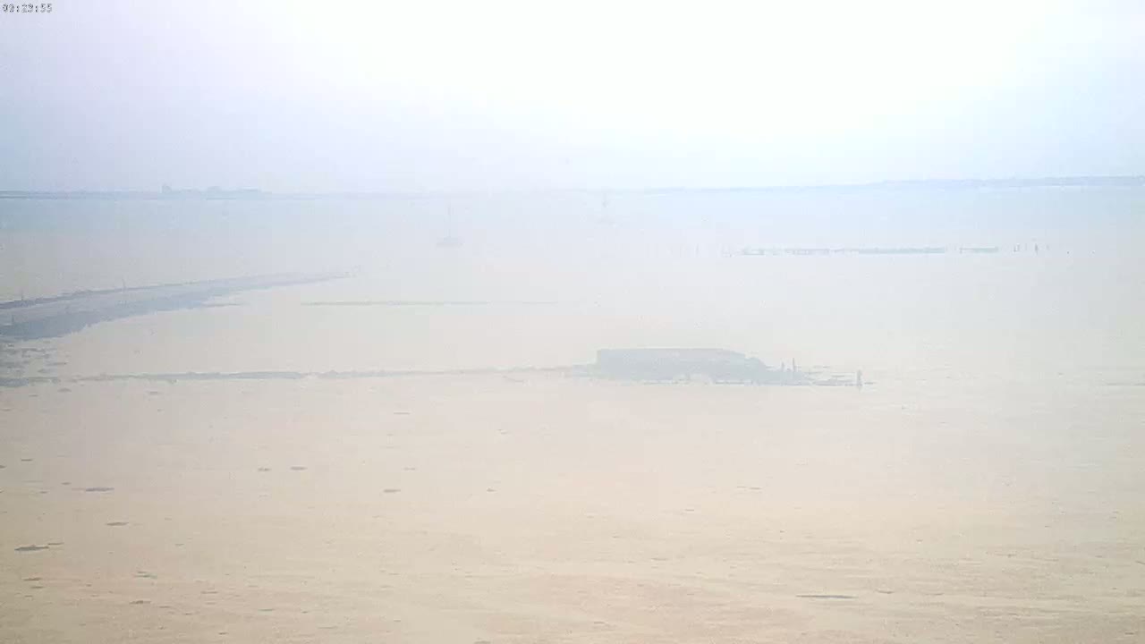 A hazy, light-brown expanse of shallow water stretches to a distant shoreline under a foggy sky.