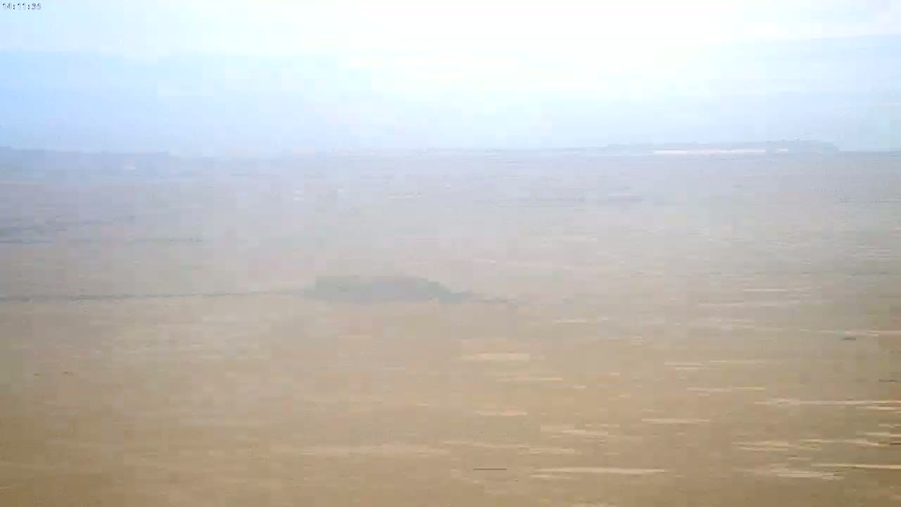 Noirmoutier - Passage du Gois Live Cam - Les Sables-d'Olonne , Vendée, Pays de la Loire, France