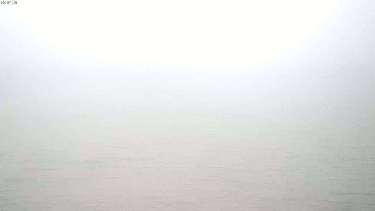 A calm body of water is shrouded in a thick fog.
