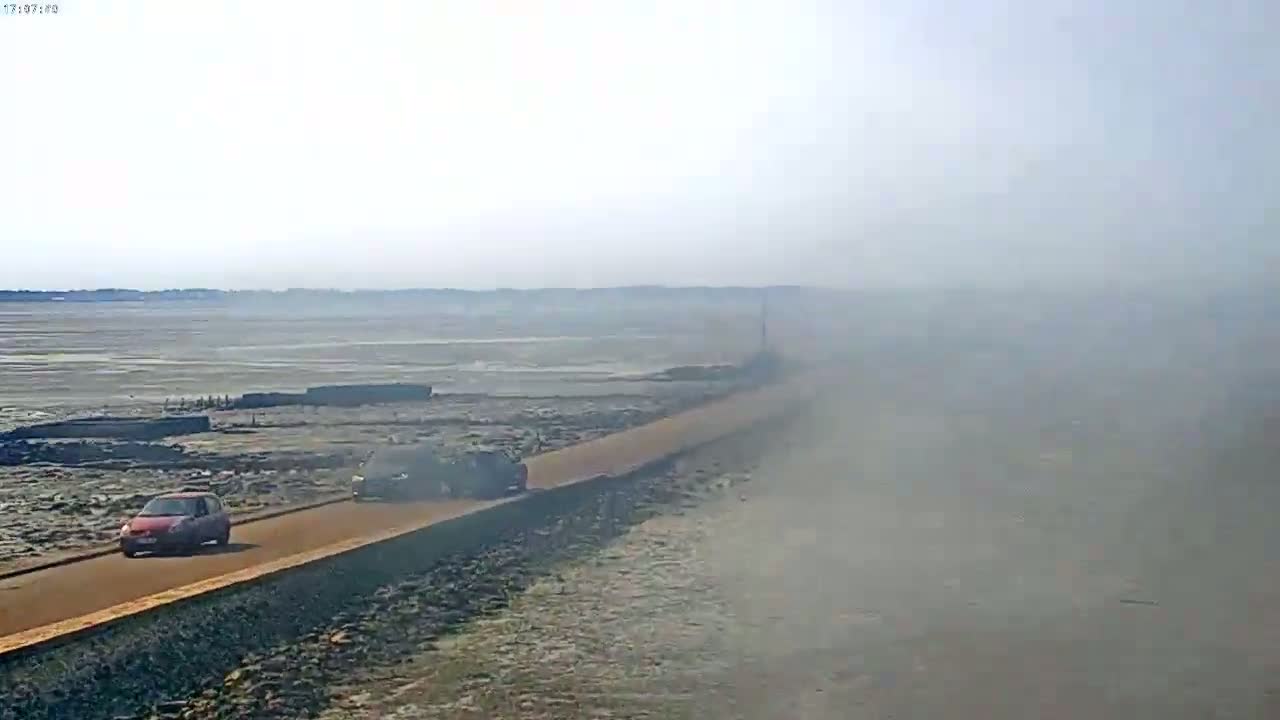 A calm body of water is shrouded in a thick fog.