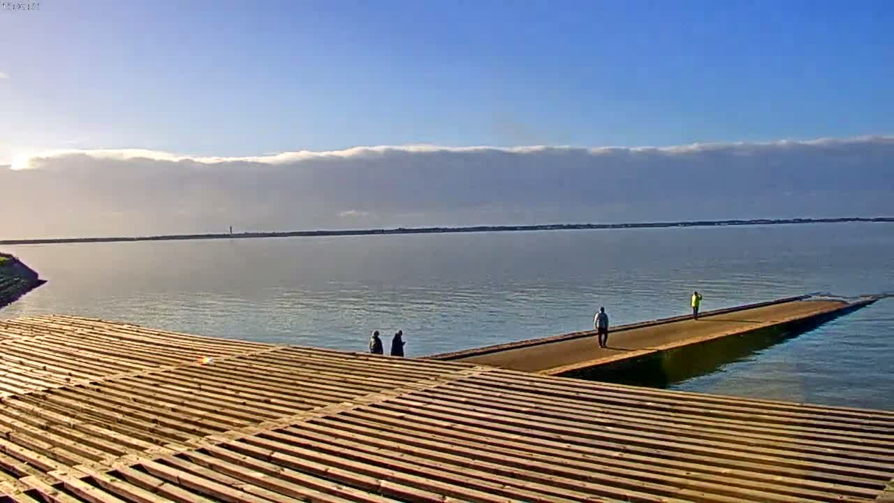 A calm body of water is shrouded in a thick fog.