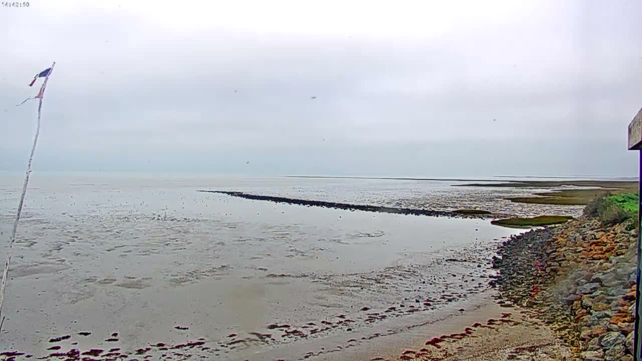 Noirmoutier - Passage du Gois Live Cam - Les Sables-d'Olonne , Vendée, Pays de la Loire, France