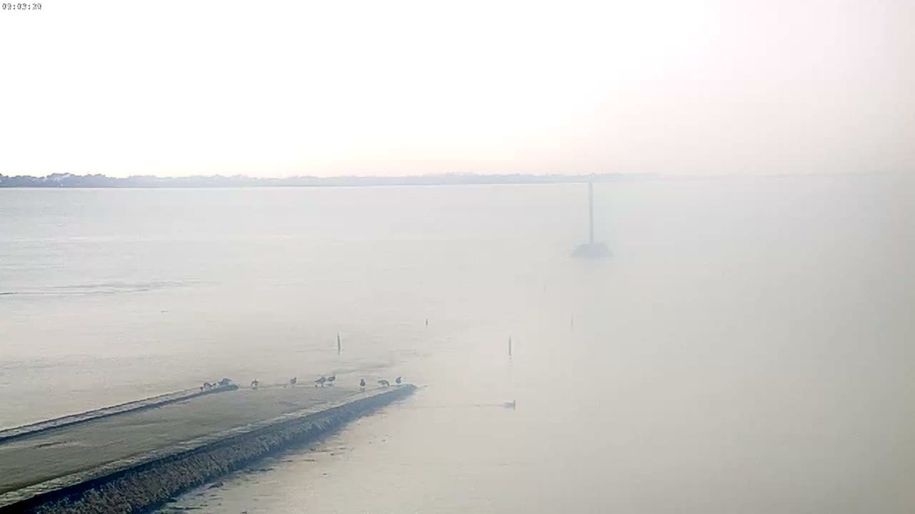 Noirmoutier - Passage du Gois Live Cam - Les Sables-d'Olonne , Vendée, Pays de la Loire, France