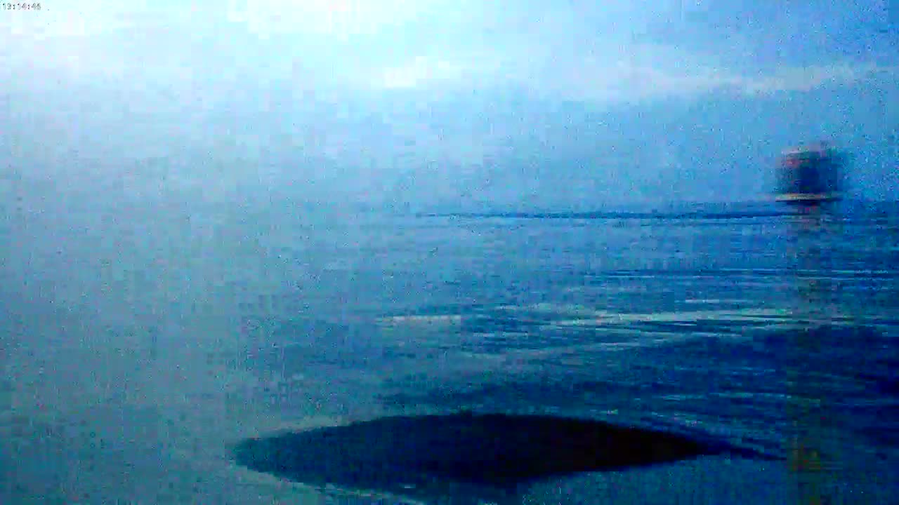 Noirmoutier - Passage du Gois Live Cam - Les Sables-d'Olonne , Vendée, Pays de la Loire, France