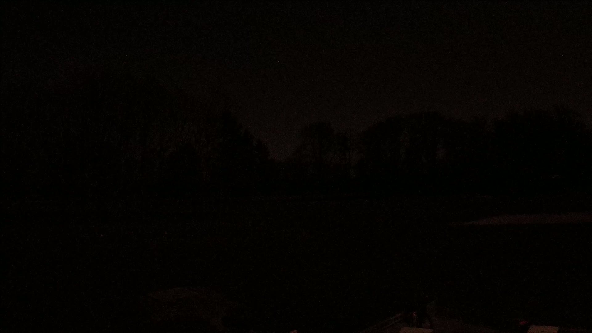 A dark, nighttime scene shows a line of silhouetted trees against a starlit sky.