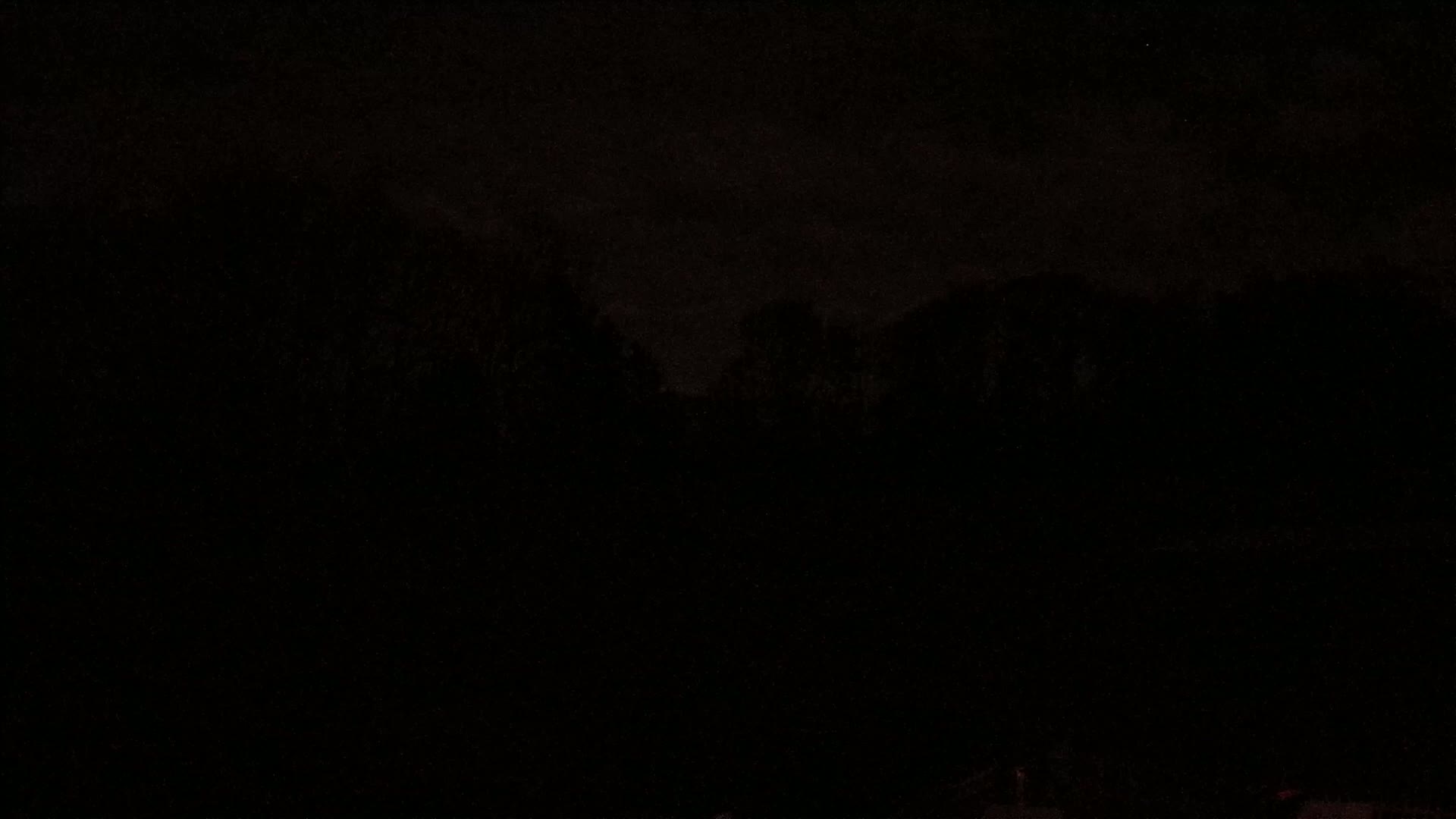 A dark, nighttime scene shows a silhouetted line of trees under a mostly clear sky.