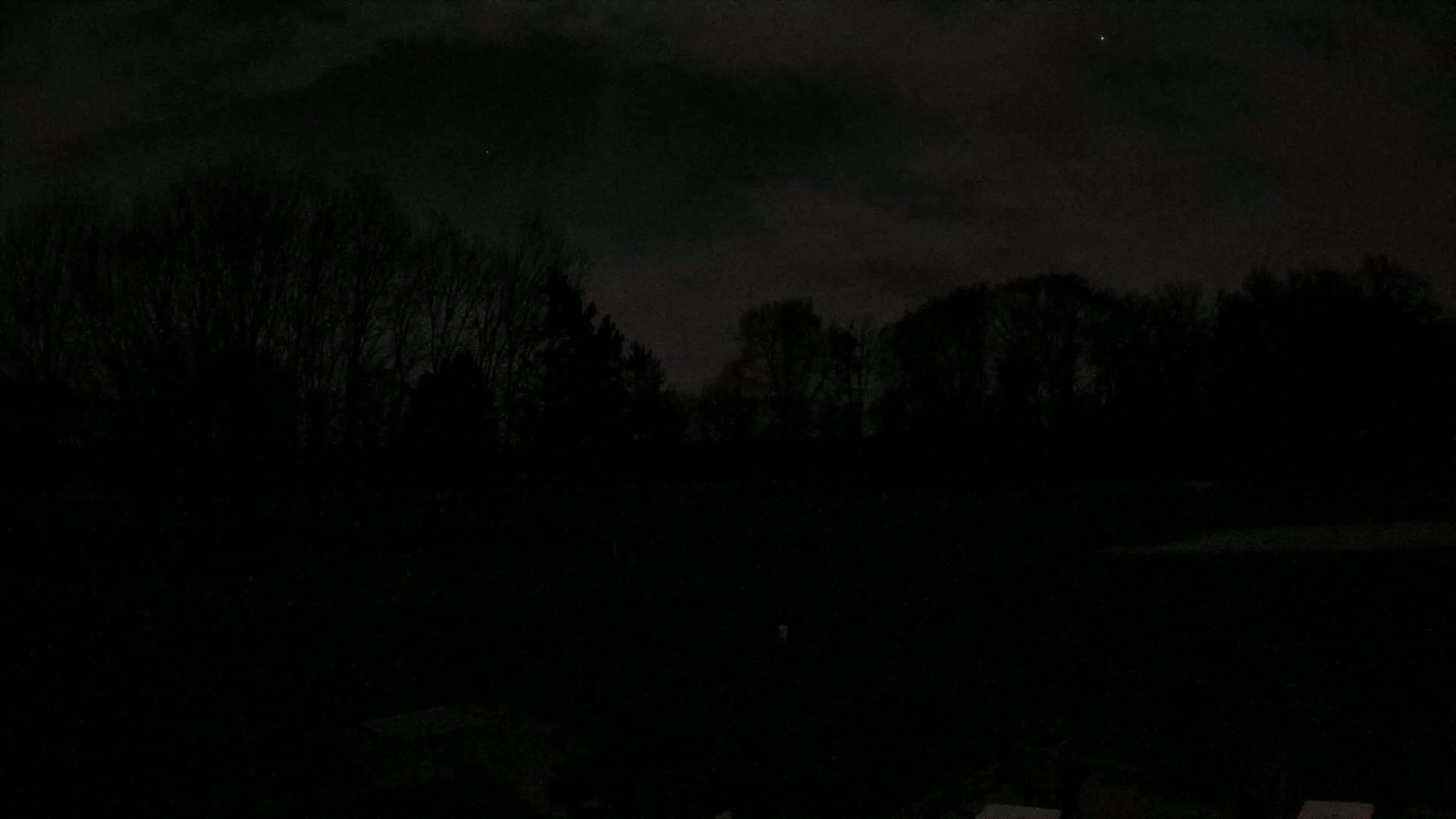 A dark, nighttime scene shows a line of silhouetted trees under a cloudy sky.