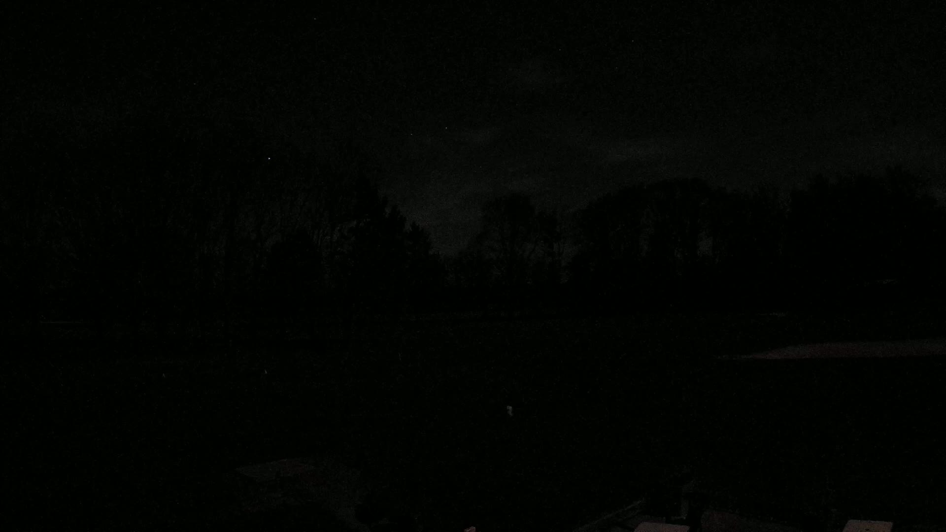 A dark, nighttime scene shows a line of silhouetted trees under a mostly clear, starlit sky.