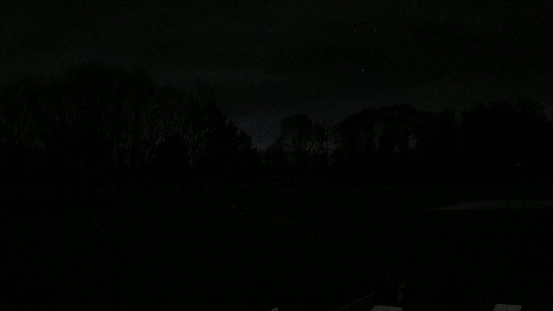 A dark, nighttime landscape shows a silhouetted line of trees under a mostly clear, starry sky.