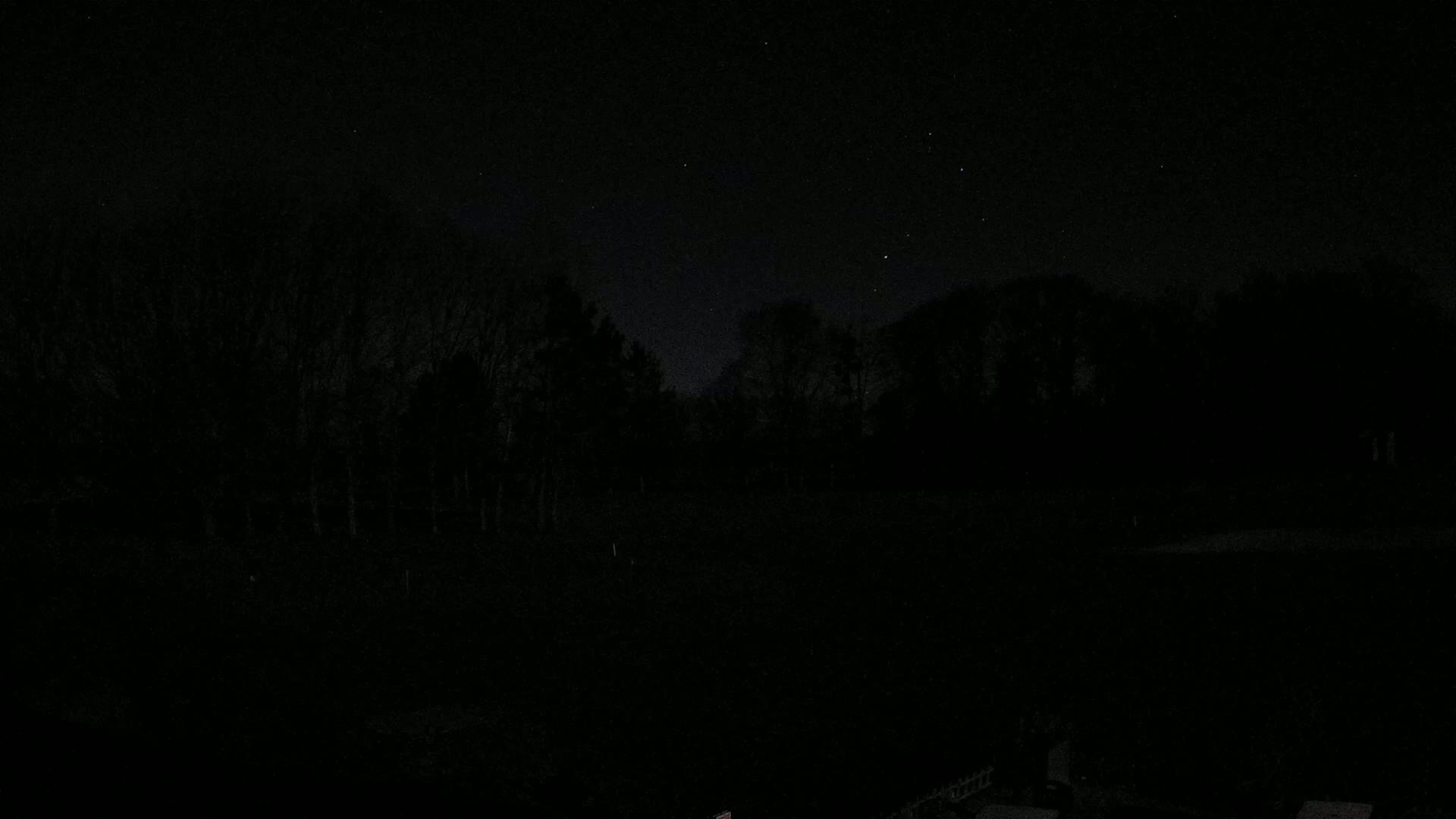 A dark, starlit night sky is visible above a silhouetted line of trees.