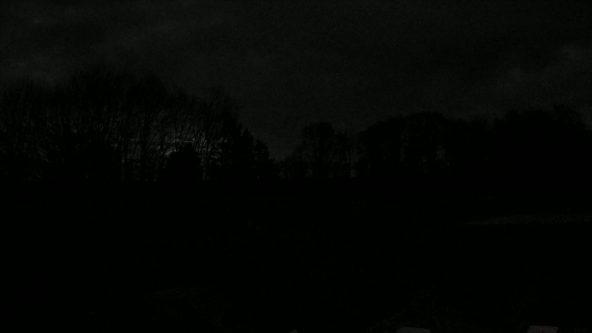 A dark, nighttime scene shows the silhouettes of trees under a cloudy sky.