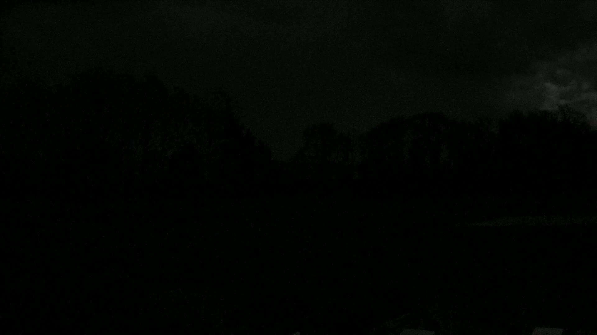 A dark, nighttime scene shows a silhouetted line of trees under a cloudy sky.