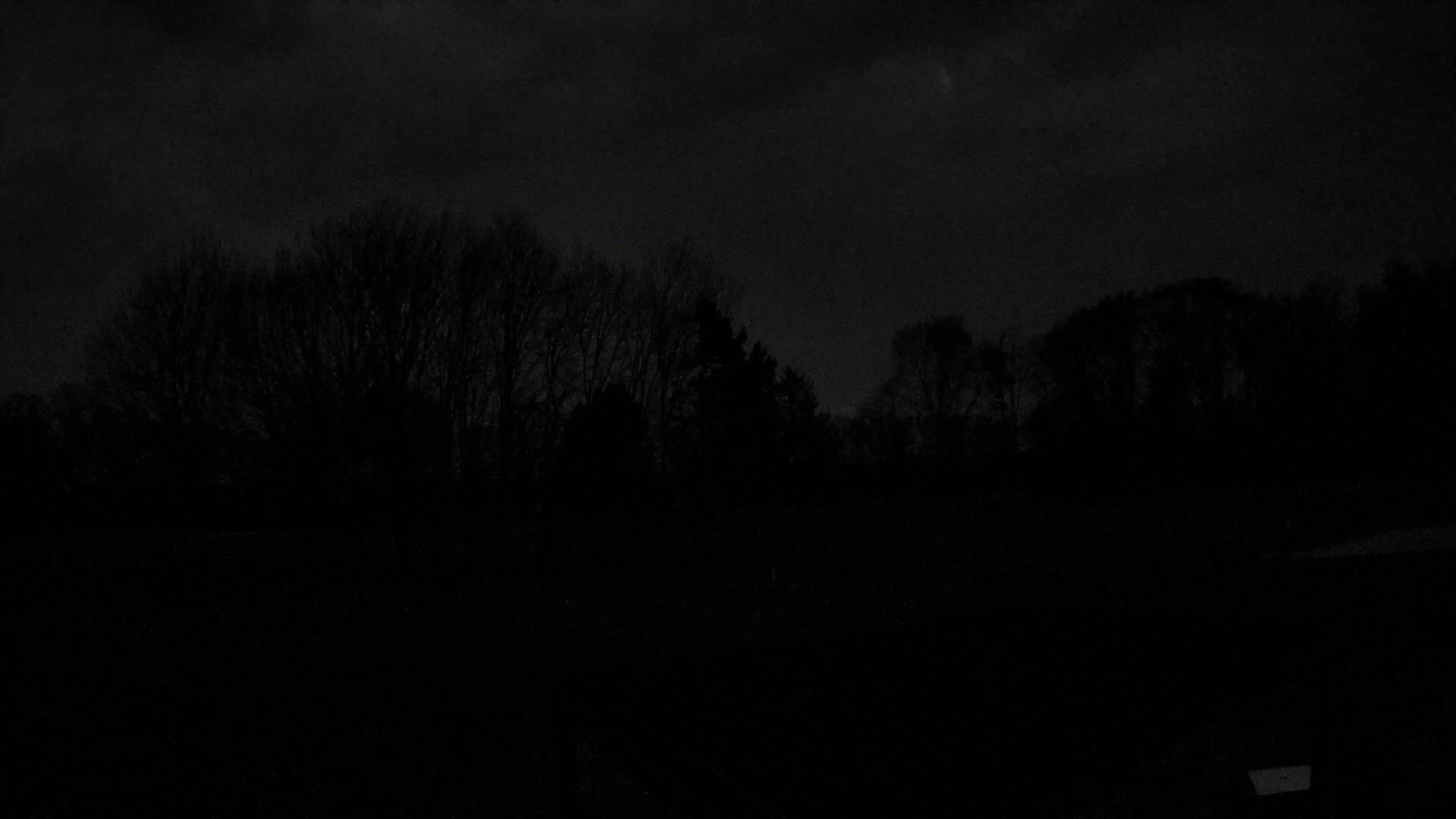 A dark, nighttime landscape shows a line of silhouetted trees under a cloudy sky.