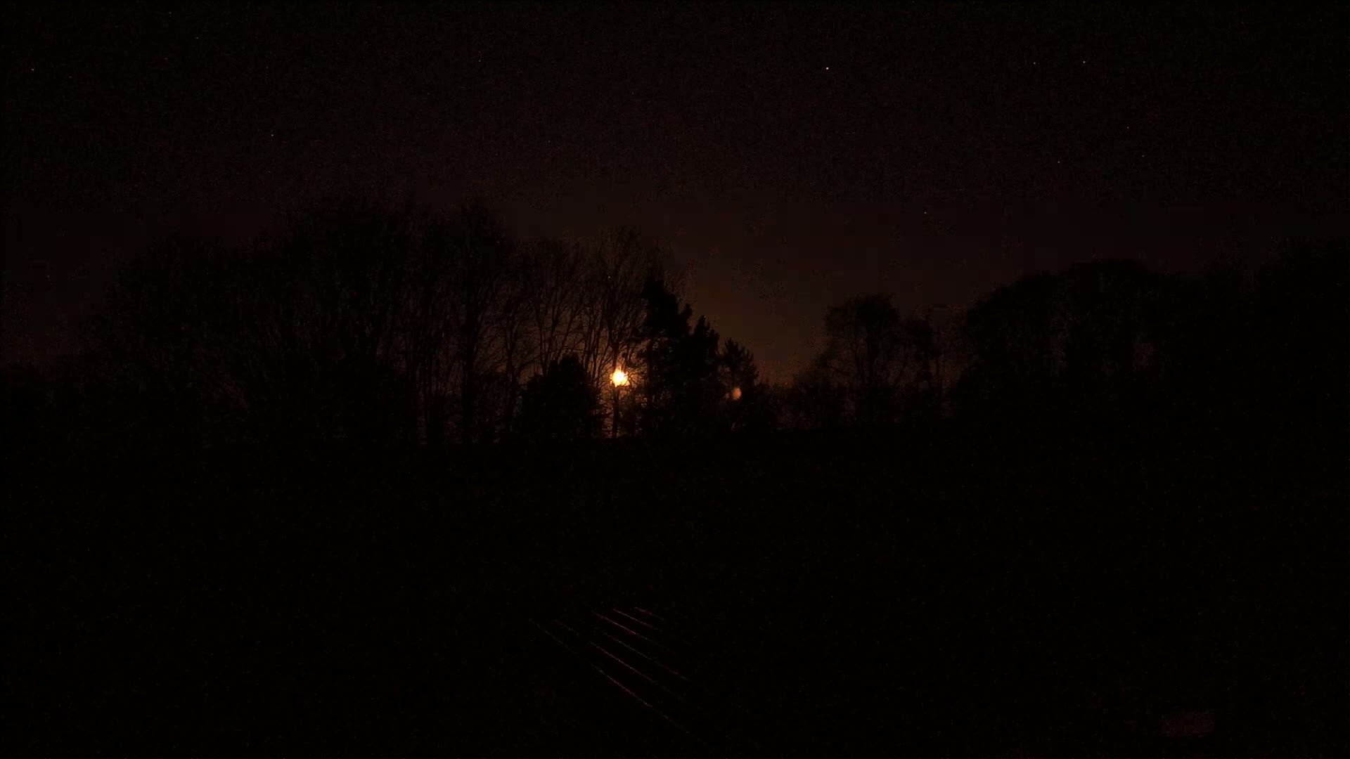 A bright moon shines through the silhouettes of leafless trees under a starry night sky.